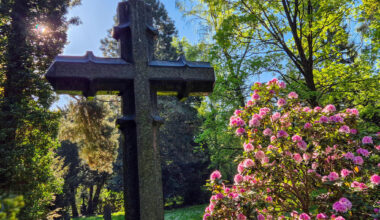 Führung vermittelt Wissenswertes über blühende Kostbarkeiten auf dem Chemnitz Friedhof