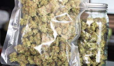 Chemnitzer Rapper wegen 20 Kilogramm Cannabis vor Gericht: Alles für ein Musikvideo?