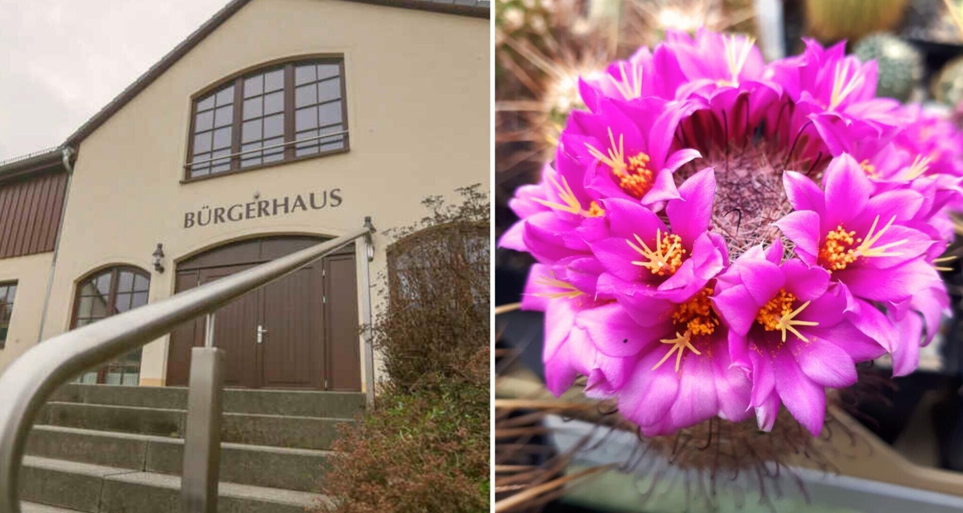 Warum das Bürgerhaus in Taura gern für Feiern gemietet wird