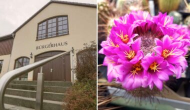 Warum das Bürgerhaus in Taura gern für Feiern gemietet wird