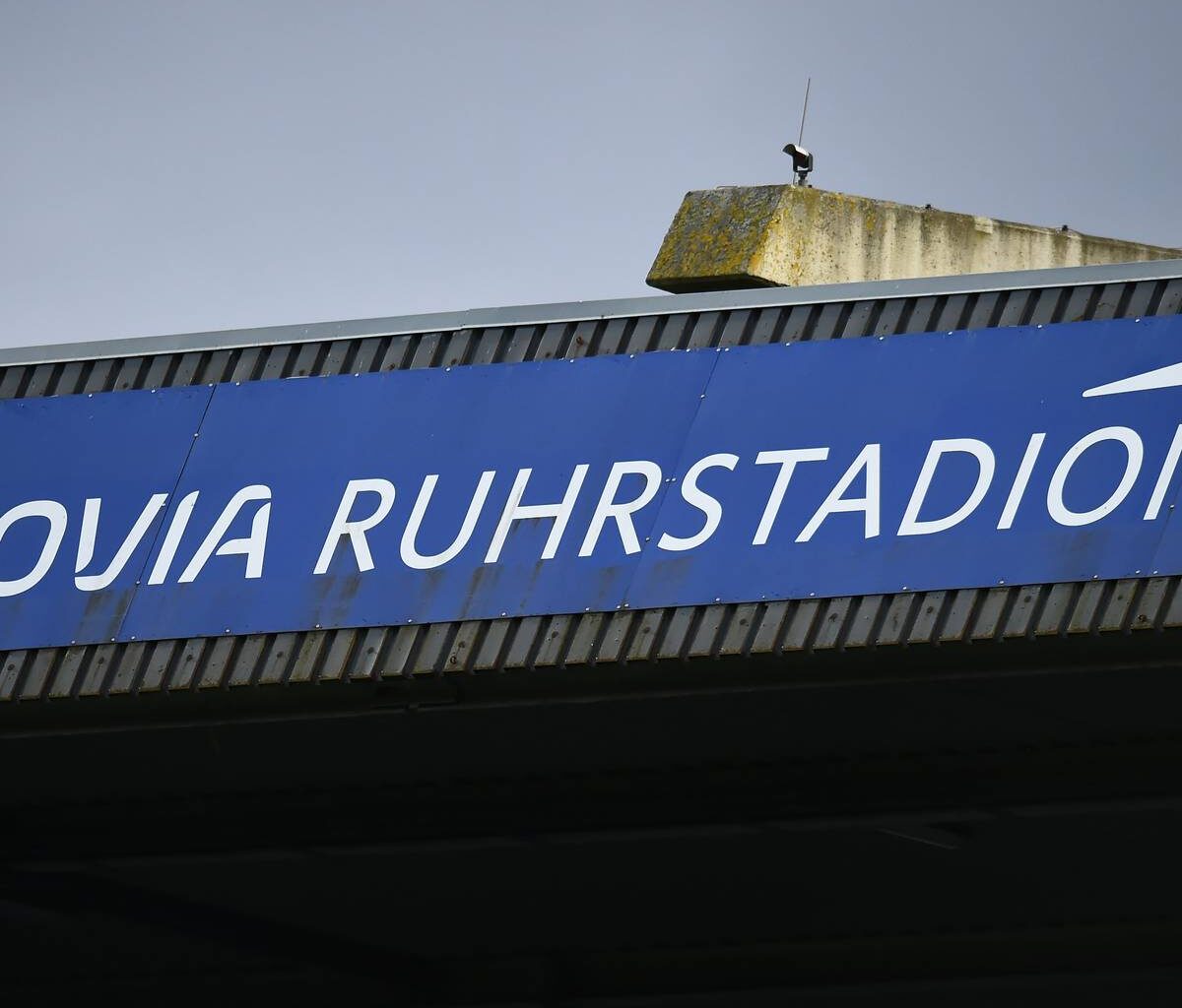 VfL Bochum: Kandidaten für Präsidiums-Wahl