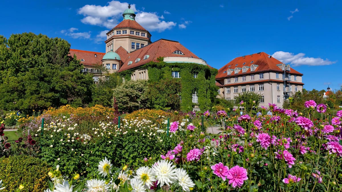 Frühlingshafte Blütenpracht im Botanischen Garten bewundern