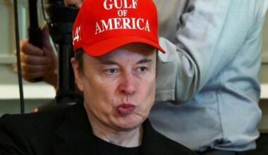 Demokratische Senatoren warnen vor Musk