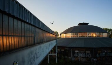 Sommerwetter in Berlin: Nachtigall, Schwalbe und Kuckuck schon in Berlin zurück