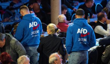 Umfrage: Fast die Hälfte der Deutschen laut Umfrage für AfD-Verbot