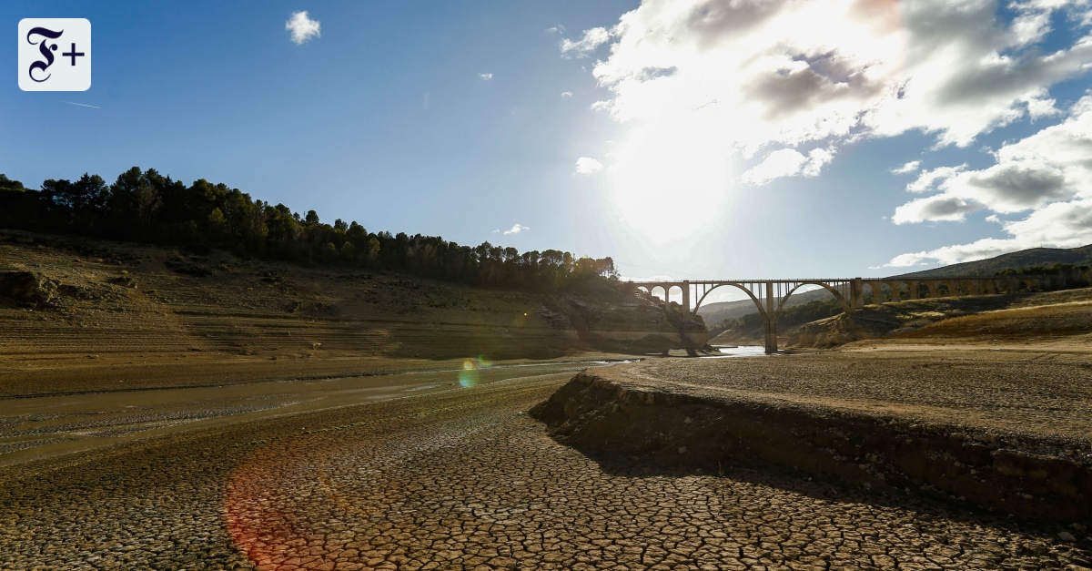 Virgina Mendozas Buch „Die Suche nach Wasser“