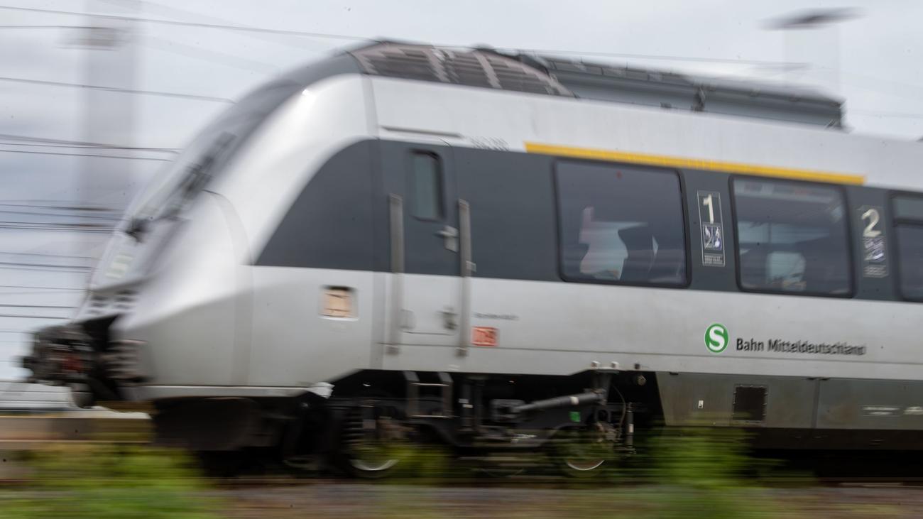 In Halle: Selfies in den Gleisen? S-Bahn muss wegen Pärchen bremsen