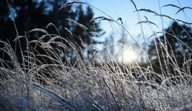 Bis zu -9 Grad in kommenden Nächten erwartet