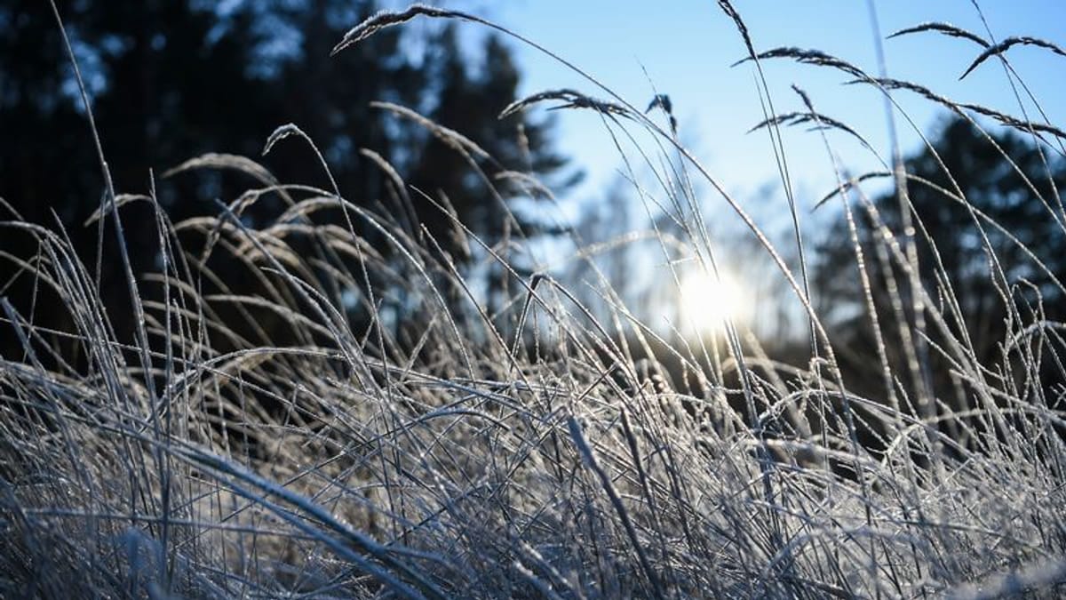 Bis zu -9 Grad in kommenden Nächten erwartet