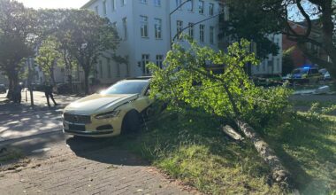 Osnabrück: Baum fällt auf Wall