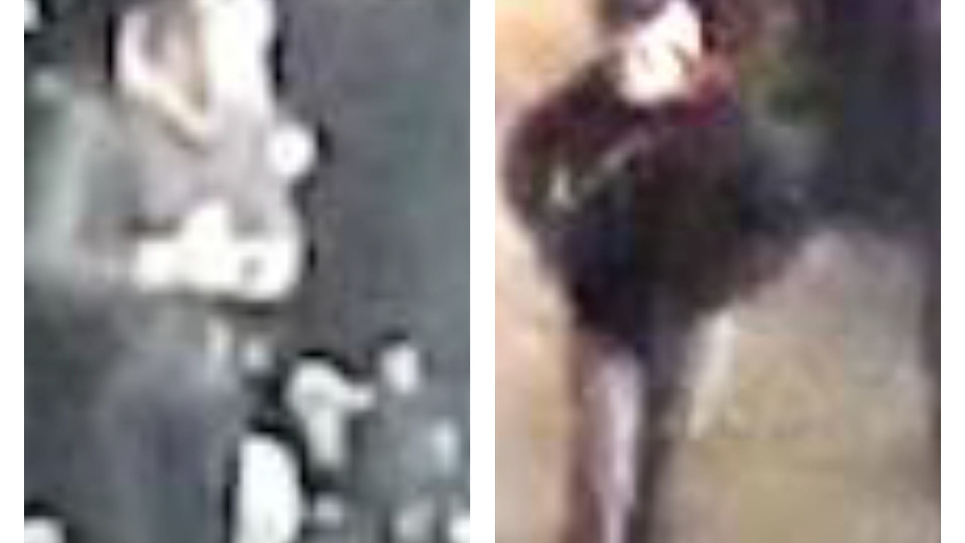 Mit diesen unscharfen Bildern und einem Video sucht die Polizei nach einem Tatverdächtigen.