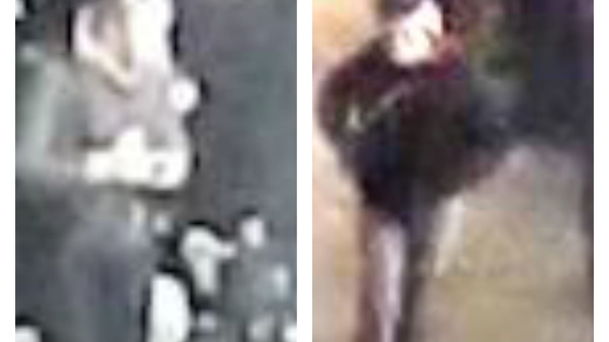 Kugelbombe verletzt Polizisten – Fotos und Video