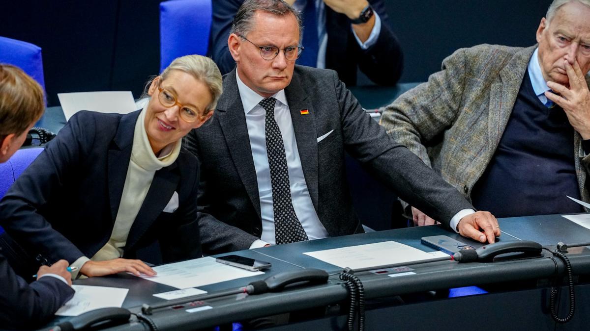 AfD: Bundesamt für Verfassungsschutz setzt Einstufung als rechtsextrem aus