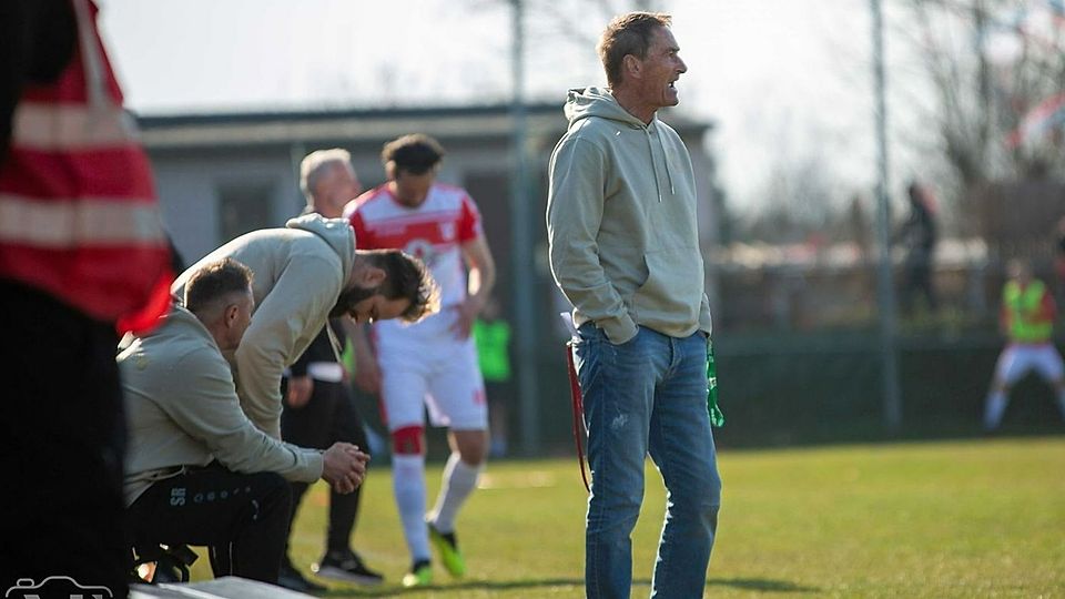 VfL Halle 96 muss auf Trainersuche gehen: "Riesige Arbeit geleistet"