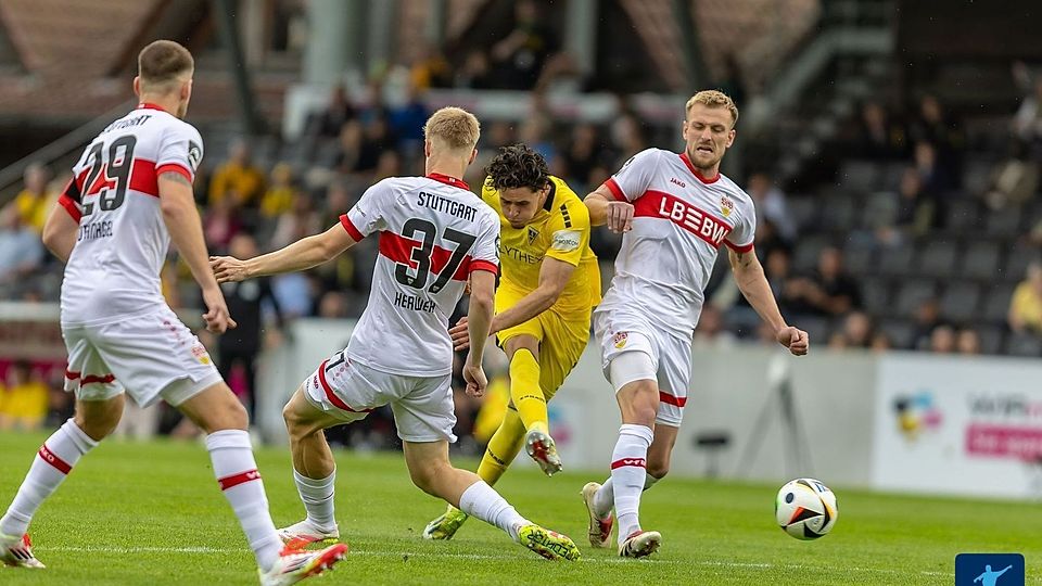 VfB Stuttgart II: "Die Mannschaft ist stabil und bereit"