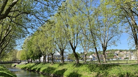 Frühling am Schwarzbach in Zweibrücken