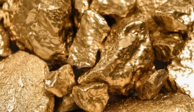 Bauer entdeckt Goldader mit 150 Tonnen Gold – und geht leer aus