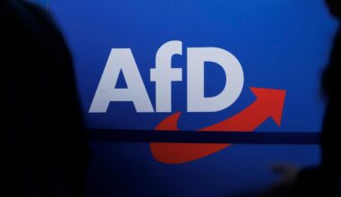 Umfrage: Mehrheit der Deutschen befürwortet AfD-Verbotsverfahren