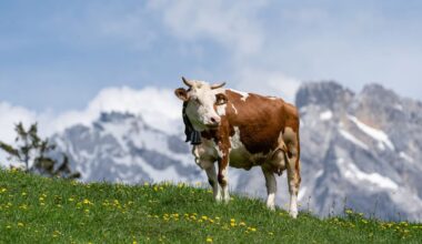 Wander- und Exkursionstipps ab München entdecken