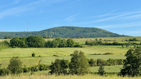 Der Donnersberg im Frühling. 