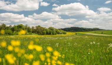 "Simone" bringt Sonne – Abkühlung kündigt sich an