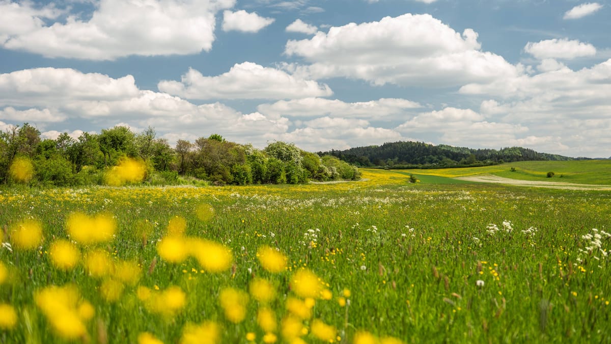 "Simone" bringt Sonne – Abkühlung kündigt sich an
