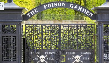 Noemi Harnickells „Fatale Flora“ zum Umgang mit Giftpflanzen