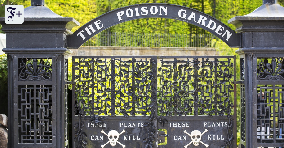 Noemi Harnickells „Fatale Flora“ zum Umgang mit Giftpflanzen