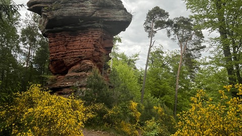 Der Teufelstisch bei Eppenbrunn in der Südwestpfalz.