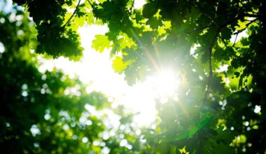 Sonnig in Bremen, frischer im Seewind