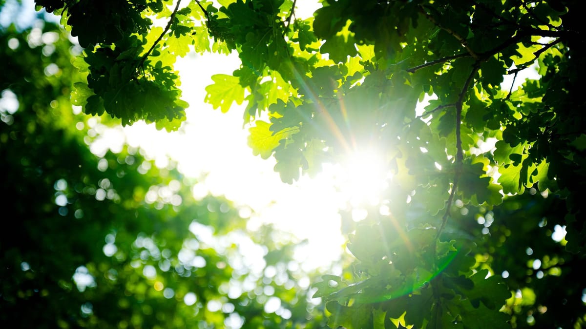 Sonnig in Bremen, frischer im Seewind
