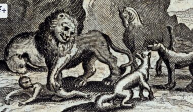 Martin Mulsows „Naturrecht und Emotion“: Geschichte der Gefühle