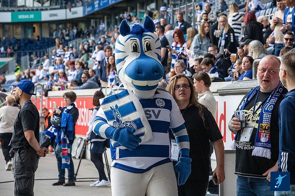 Bei den Senioren und Junioren geht die Post beim MSV ab. 