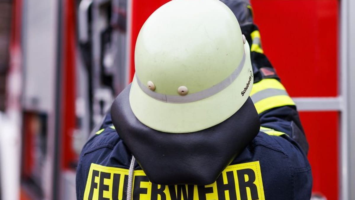 Nachbar rettet Familie bei Wohnungsbrand mit Leiter
