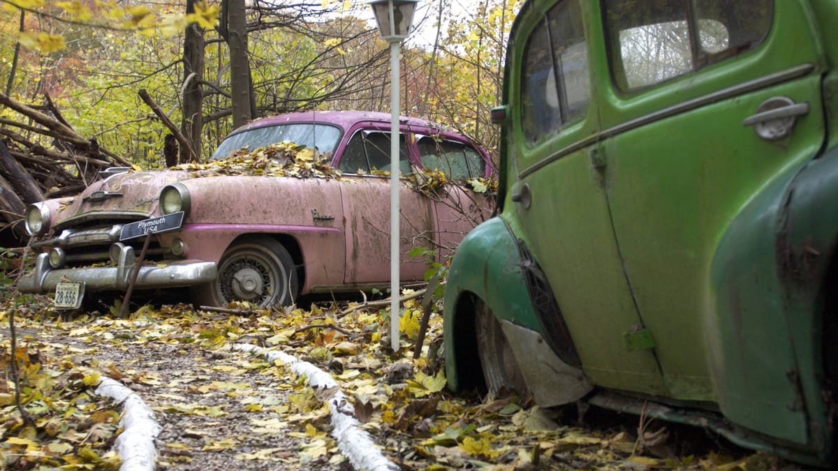 Einzigartiger Ausflug – dieser Lost Place vereint Old Timer mit Natur