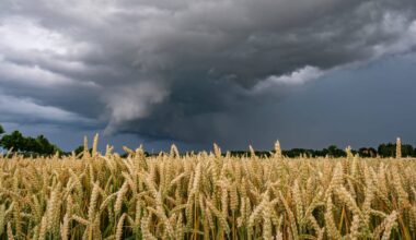 Gewitter und Schauen rollen heran