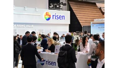 Risen Energy stellt auf der Intersolar Europe 2025 drei wichtige Produktserien vor, die auf unterschiedliche Solarspeicher-Szenarien zugeschnitten sind USA - Deutsch USA - Français USA - Pусский USA - español USA - slovenčina USA - English USA - čeština USA - Polski