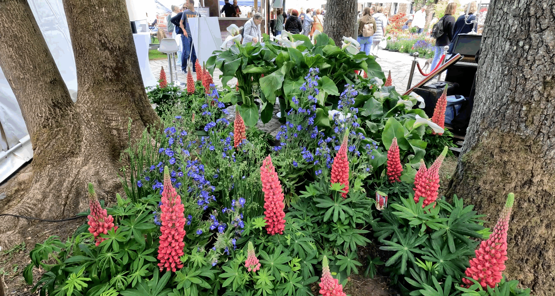 Frühlingspartie Stilblüte, Garten- und Landschaftsmesse in Wuppertal | Ulrich Rabenort