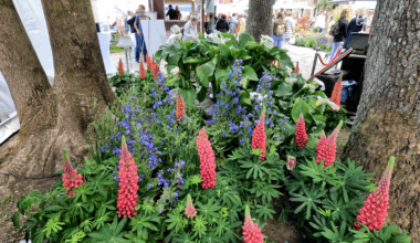 Frühlingspartie Stilblüte, Garten- und Landschaftsmesse in Wuppertal | Ulrich Rabenort