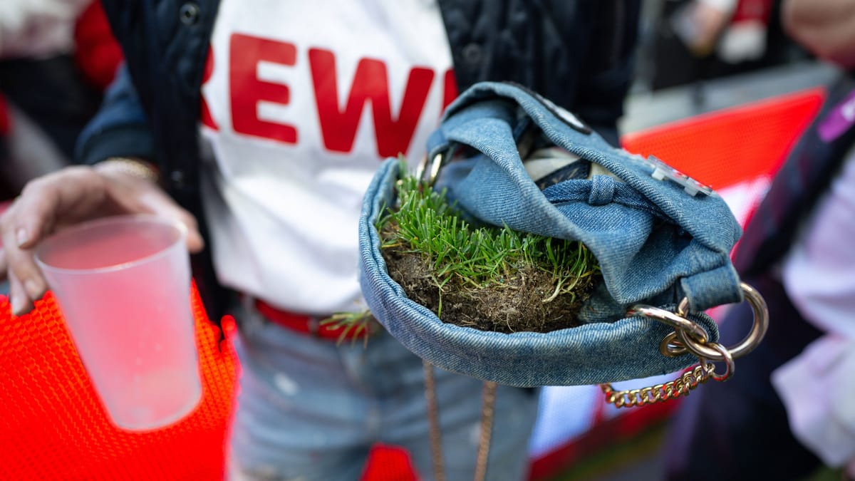 Fans klauen Rasen – Verein muss zahlen