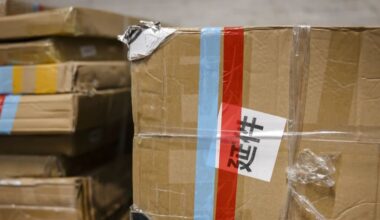 EU-Kommission erwägt bis zu zwei Euro Abgabe für Temu-Pakete