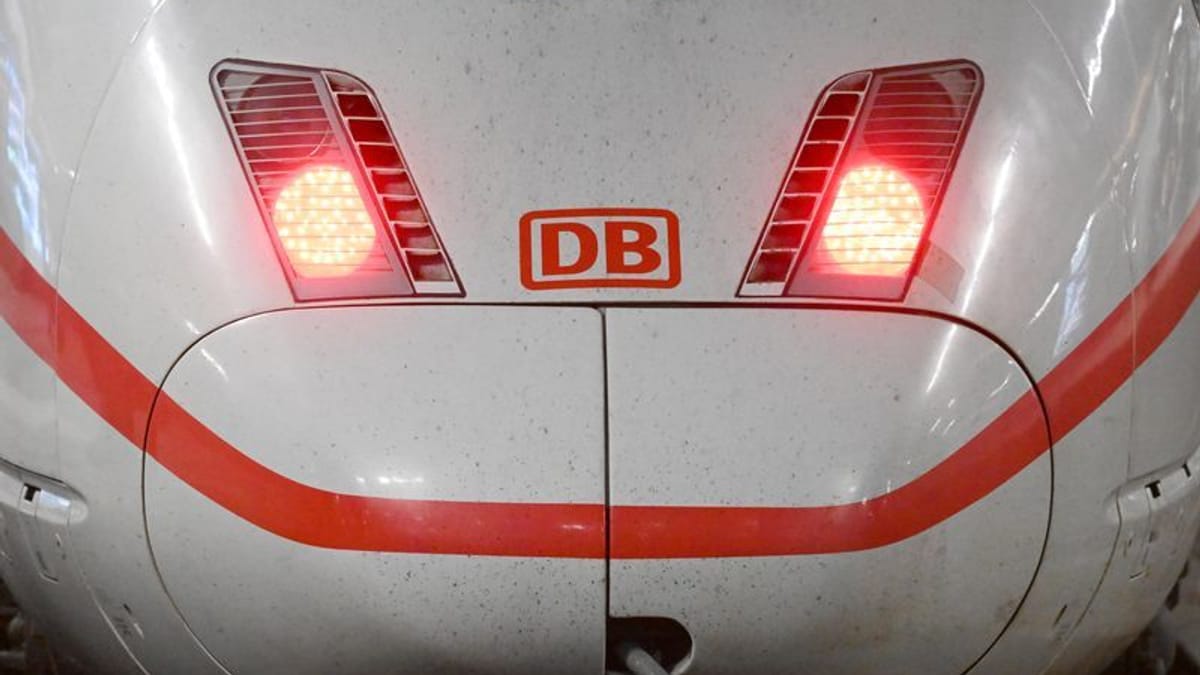 Besonders viele Wildunfälle auf ICE-Strecke nach Frankfurt