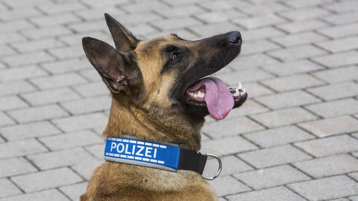 Polizeieinsatz in Johannstadt – Mann in Wohnung eingesperrt