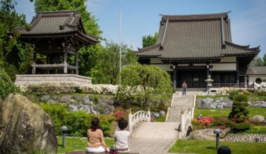 Japan-Tag in Düsseldorf: In NRW leben gut 12.000 Japaner