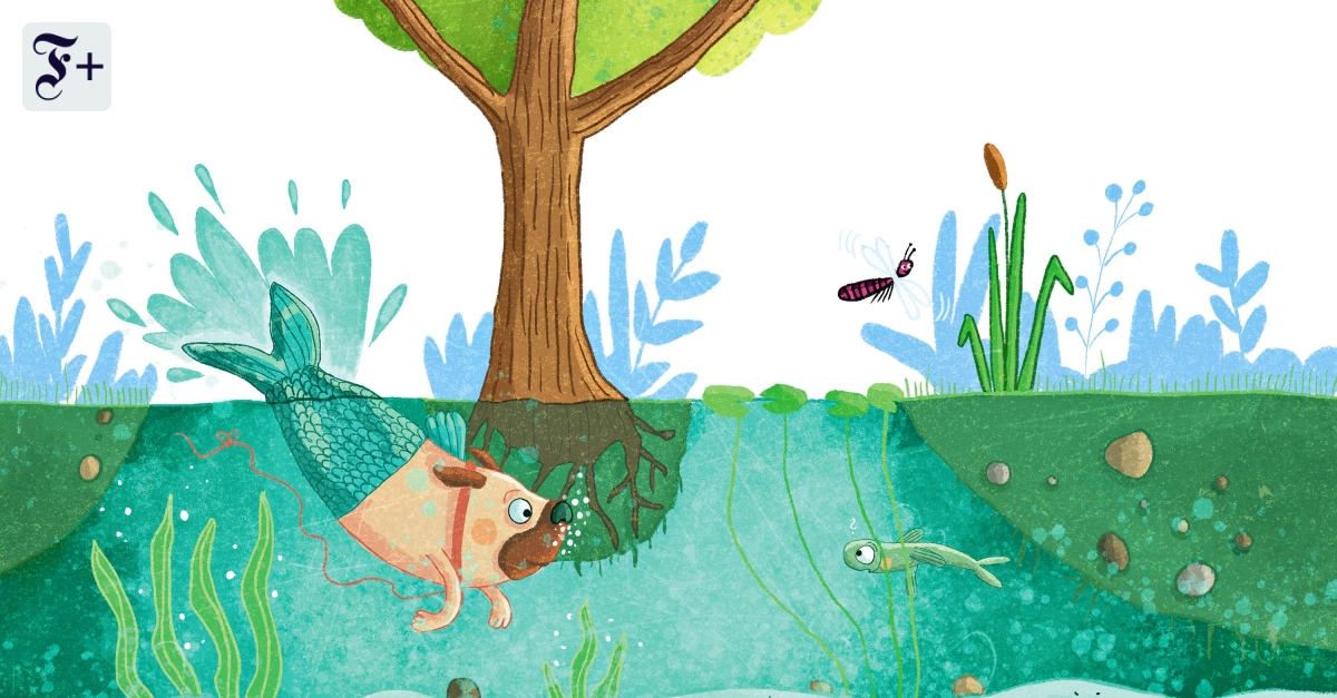 Bilderbuch „Mopsfisch“ von Clemens J. Setz und Stefanie Jeschke