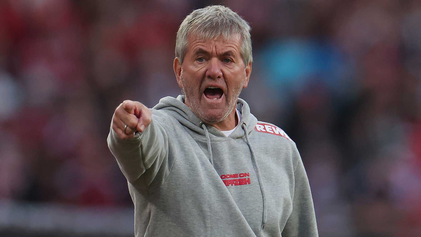 Er trainierte schon in der Europa League: Spektakuläre Trainer-Lösung beim 1. FC Köln nach Funkel-Absage?