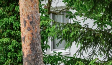 Brandenburg: Ermittler durchsuchen Haus wegen prorussischer Terrorunterstützung