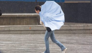 Deutscher Wetterdienst warnt vor Starkwind und Gewittern