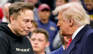Tesla-Chef: Elon Musk beendet Tätigkeit für die US-Regierung