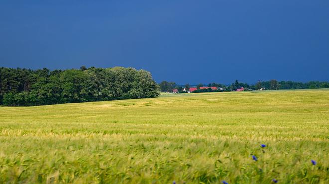 Wetter: Zum Start ins Wochenende ist das Wetter in der Hauptstadtregion wechselhaft. (Archivbild)